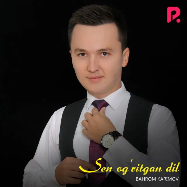 Sen og'ritkan dil